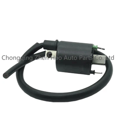 Motorcycle Ignition Coil for Honda Pop 110I Honda Nxr 150 Bros