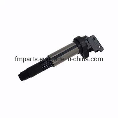 High Quality Auto Engine Parts Ignition Coil 12131712219 for BMW